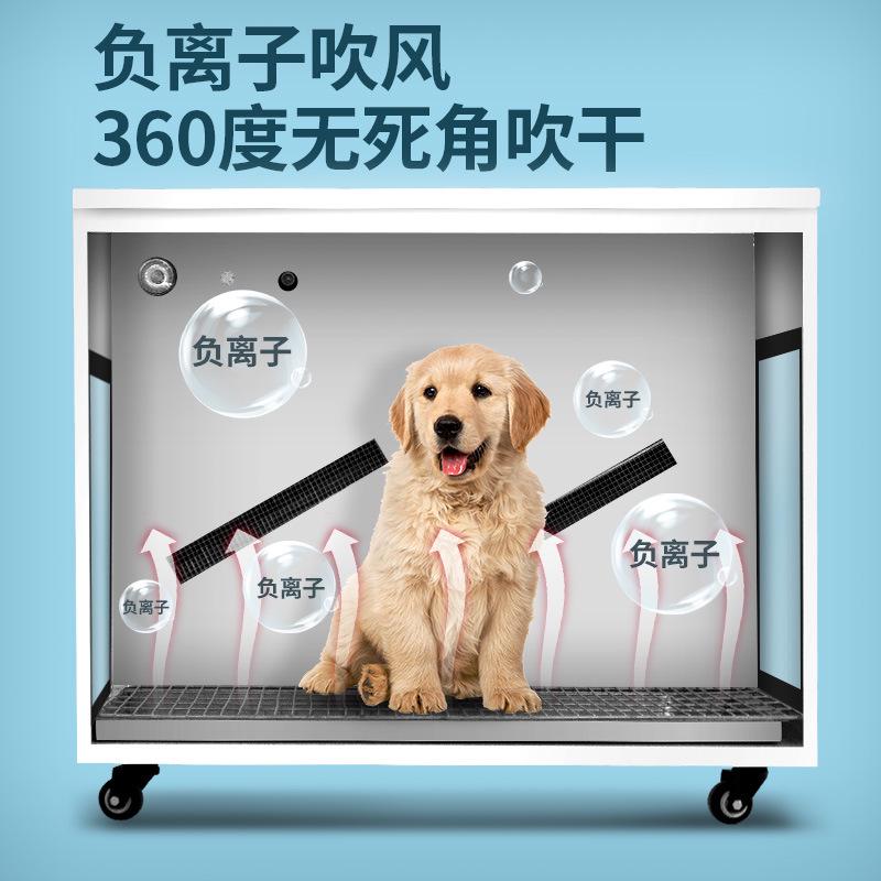 狗狗水机版国箱吹风机3静音特卖台中宠物烘干吹大型犬全自动家用