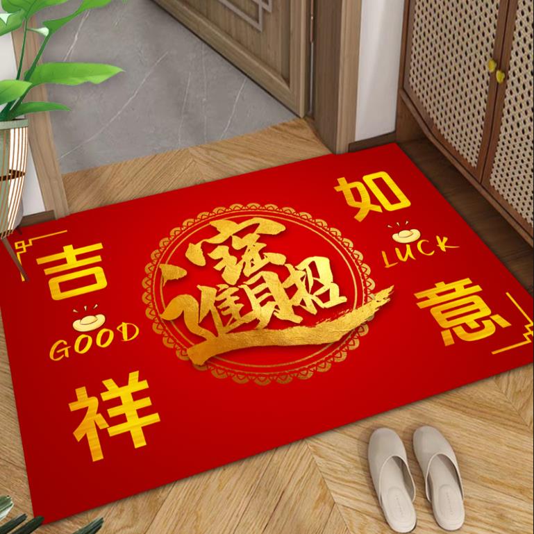 入户门地垫进门大门口防滑脚垫2025新款高档玄关门垫家用门厅地毯