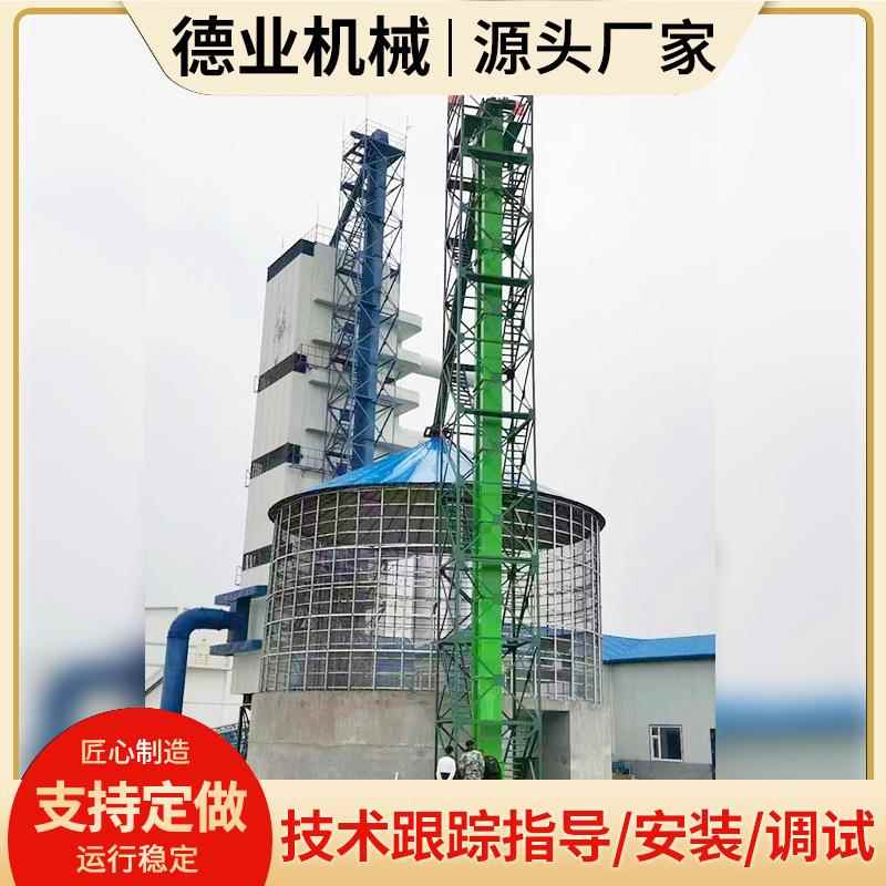 提升机物料粮食斗式提升机粮食种子斗式上料机小块物料斗提机