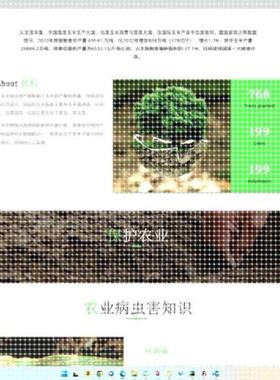python代程式设计深度学习yolo目标检测神经网路机器视觉图像识别