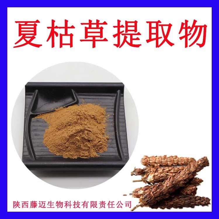 麦夏枯提取物无中间商夏枯草粉欢迎选购夏枯草提取物