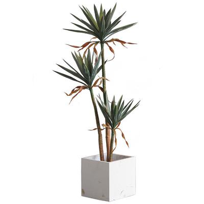 现货仿绿荷兰铁假树盆栽植北美丝树Artificial真plants6583兰真