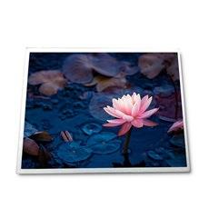 友达12.1寸工控液晶显示屏G121EAN01.4