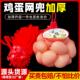 装 包邮 鸡蛋尼龙网眼袋子小网眼加密 网袋 鸡蛋网兜超市塑胶包装