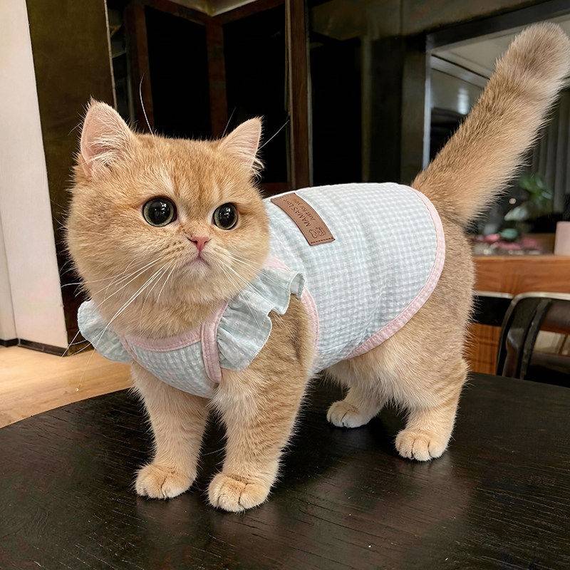 猫咪衣服小猫防掉毛薄款夏季1/4吋套筒扳手袖背心宠物德文猫布偶