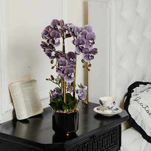 仿真花蝴蝶兰盆栽带花剑米歇尔红色兰花花瓣结婚高档仿真成品造型