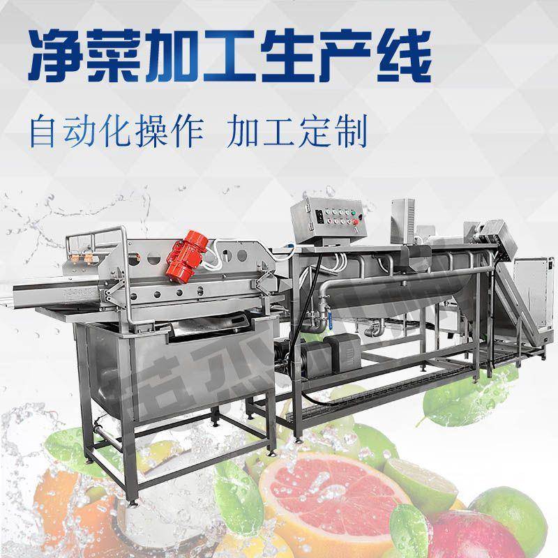 全自动涡流清洗机果蔬肉类海鲜通用翻浪式洗菜机食品加工生产