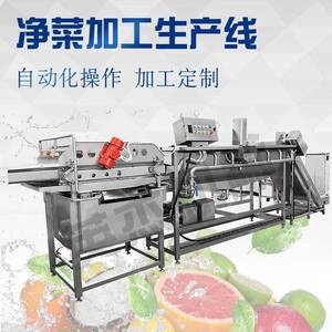 全自动涡流清洗机 果蔬肉类海鲜通用 翻浪式洗菜机 食品加工生产