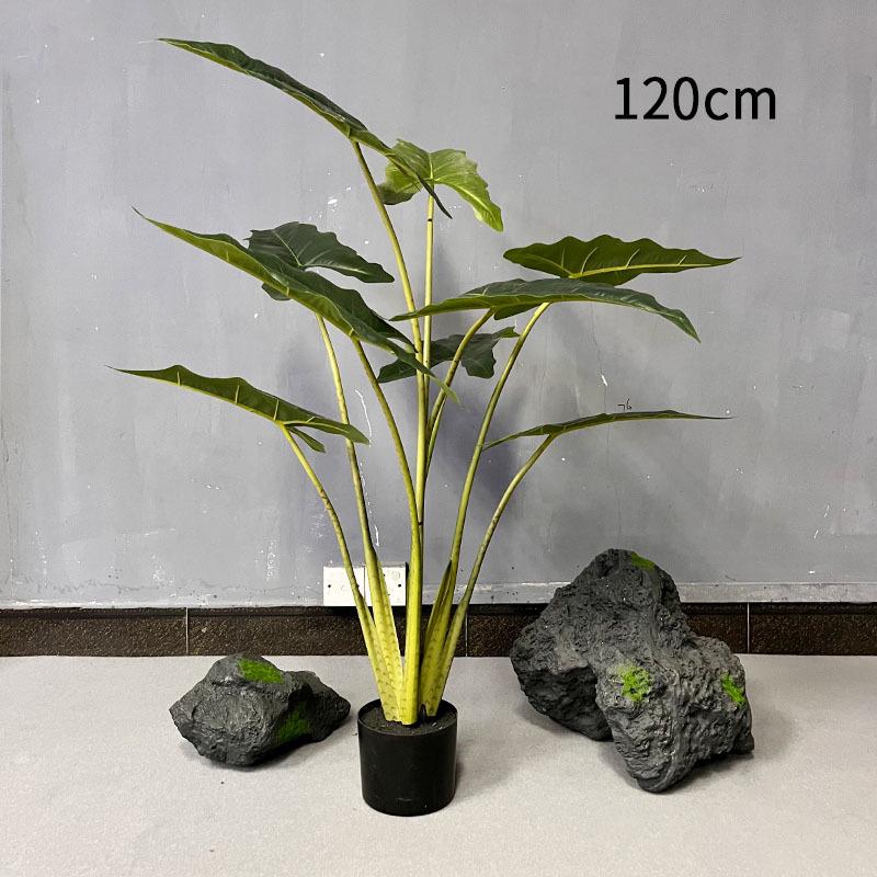 盆栽装饰摆件叶片绿海芋带大家具植绿造景假北欧植热萨利安ing风