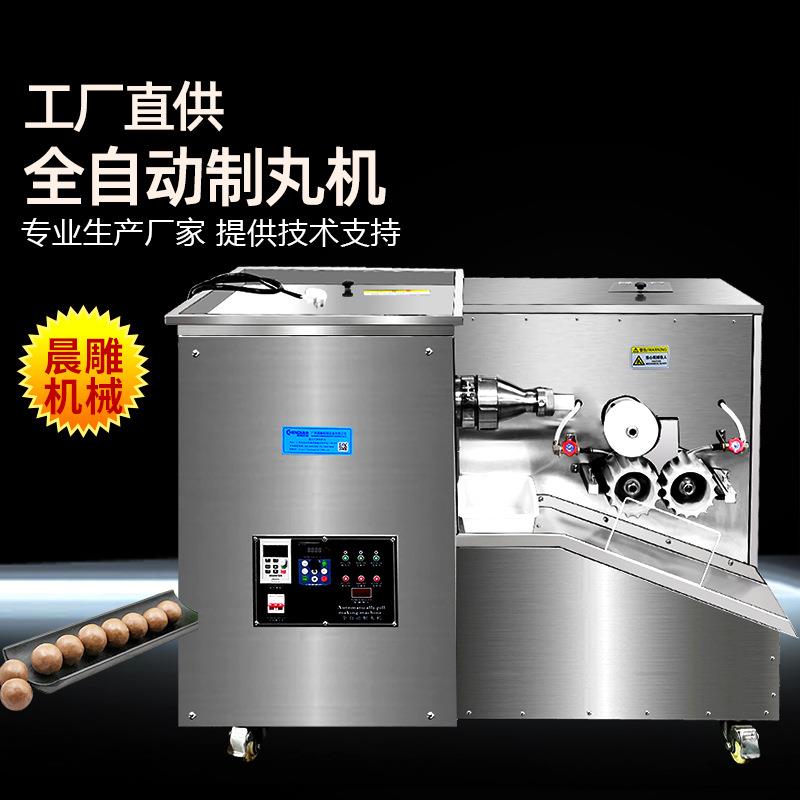 全自动中药制丸机 黑芝麻丸鹿鞭丸大蜜丸机 制丸整套设备生产厂家