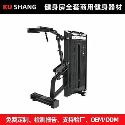 站姿小腿商用健身器材大全坐式伸腿大腿内外侧坐式转体力量训练器