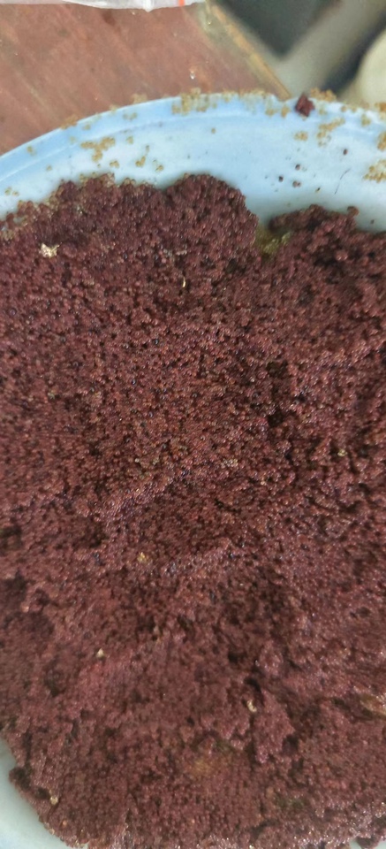 11月19日广州工厂报废树脂3000克约3公斤网络拍卖公告