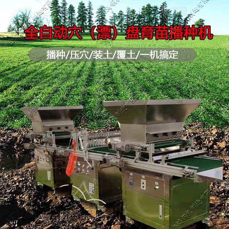 全自动穴盘育苗播种机电动果蔬花卉播种设备220V农作物种植机