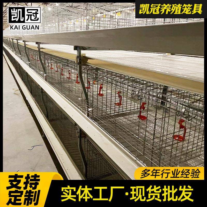 元式三层两门肉鸡笼养设备自动化层叠笼架设备自动清粪饮水设备