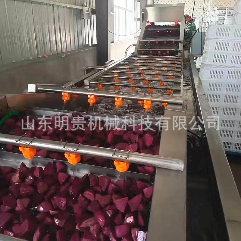 气泡清洗机 紫薯块鼓泡喷淋清洗机 土豆条涡流自动漂洗机器