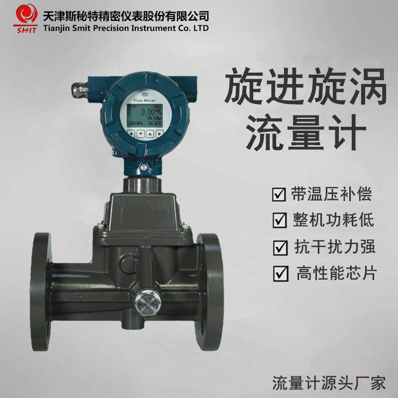 智能旋进旋涡流量计LUXBZ空气流量计沼气流量计天津仪表