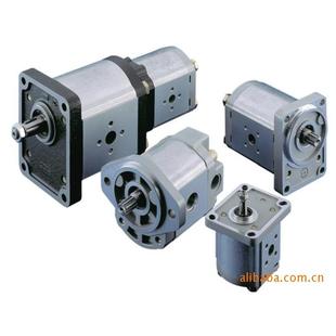 E齿轮泵油泵双联齿轮泵 GHPA2A