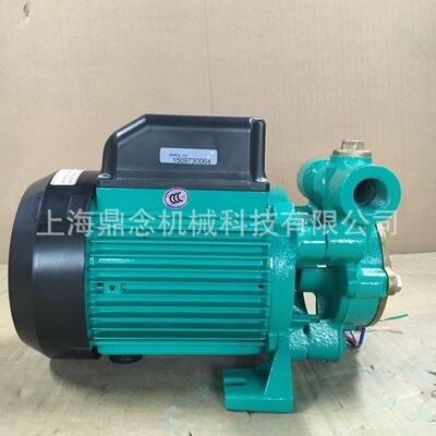 威乐PWN-241EH小型旋涡泵地下水抽水供水塔太阳能上水自吸增压泵