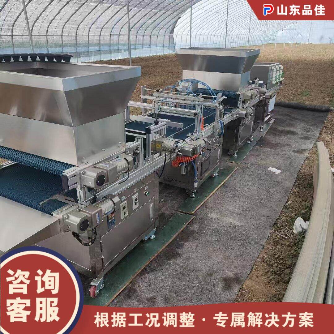 全自动穴盘育苗播种机 蔬菜花卉种子栽种机 农用秧苗种植点播机