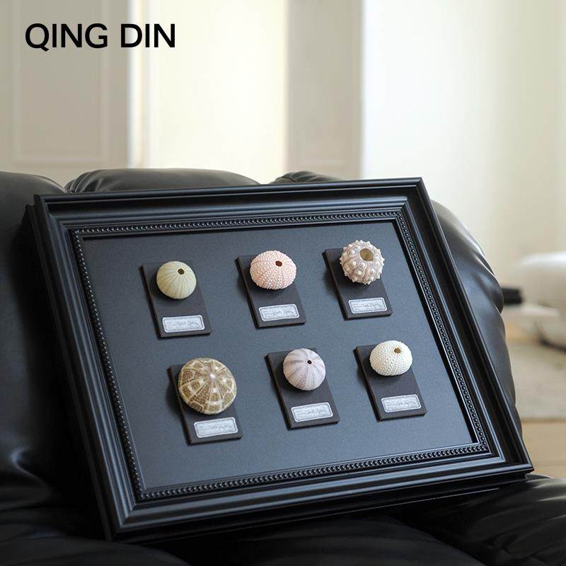 贝壳电表箱装饰画配电箱遮挡立体天然海胆灯磁吸动物标本类装饰画