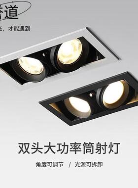 誉道双头斗胆灯酒店售楼处射灯工程大瓦数牛眼灯led天花嵌入式格