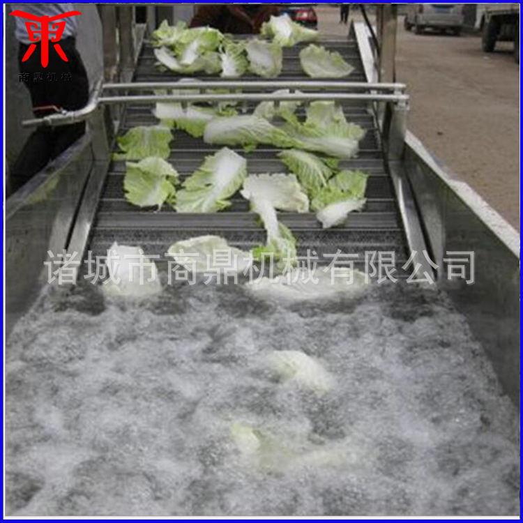 供商洗鼎苹果果清机OBU应水清洗机果蔬清洗机