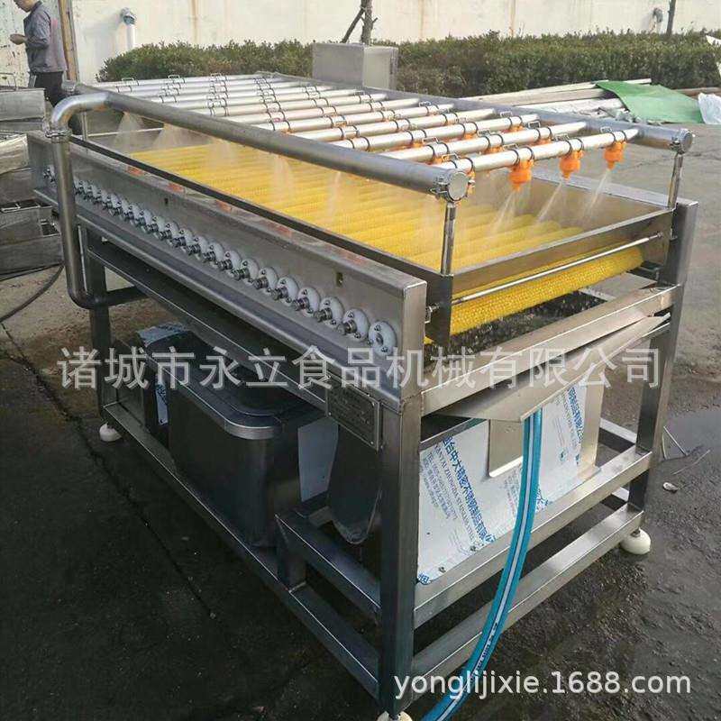 圣果猕猴桃行毛辊清洗机高平压喷淋式大线红枣毛辊VSS清女洗流水