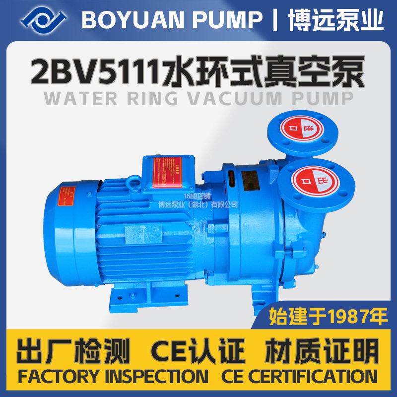 2BV5111水环真空泵5.5kW机械密封造纸循环水真空设备循环水真空泵