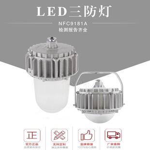厂家热销LED三防灯50W70W100W防水防尘防眩泛光灯吸顶立杆防爆
