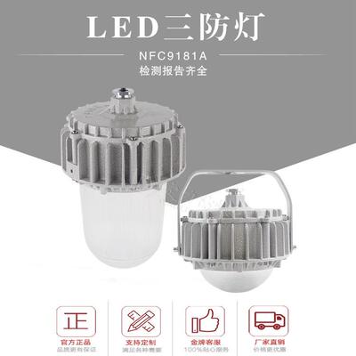 厂家热销LED三防灯50W70W100W防水防尘防眩泛光灯吸顶立杆防爆