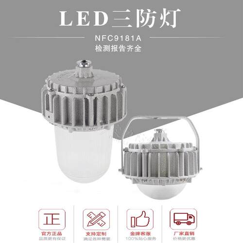 厂家热销LED三防灯50W70W100W防水防尘防眩泛光灯吸顶立杆防爆