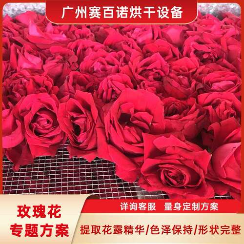 玫瑰花空气能烘干机商业用墨玫瑰细胞原液花露精华液提取设备