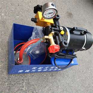 DSY-50纯铜打压机水管道试压机双缸打压泵手提式电动试压泵