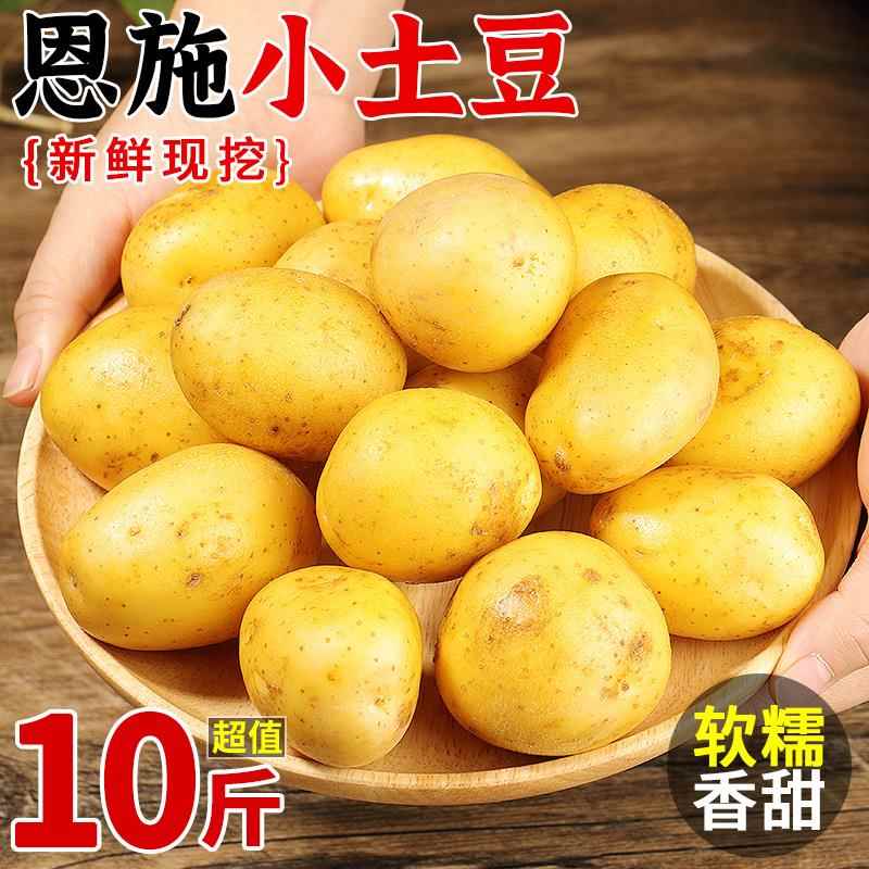 恩施小土豆10斤整箱包邮富硒新鲜洋芋迷你黄心士豆湖北马铃薯蔬菜