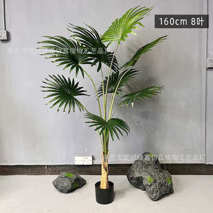 大型仿真蒲葵树唐棕葵 人造扇葵树盆栽 室内假绿植扇形树装扮厂家