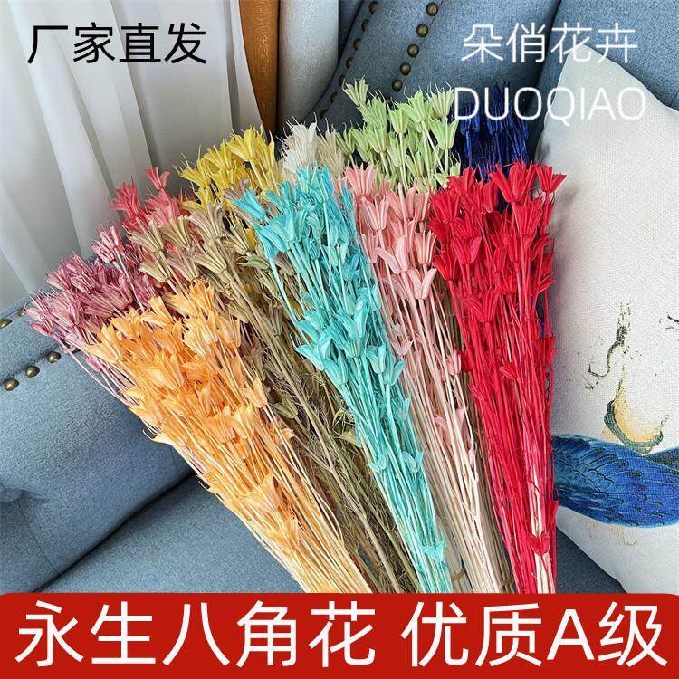 永生八角花干花永生花天然花束小清新创意花束拍摄道具家居花