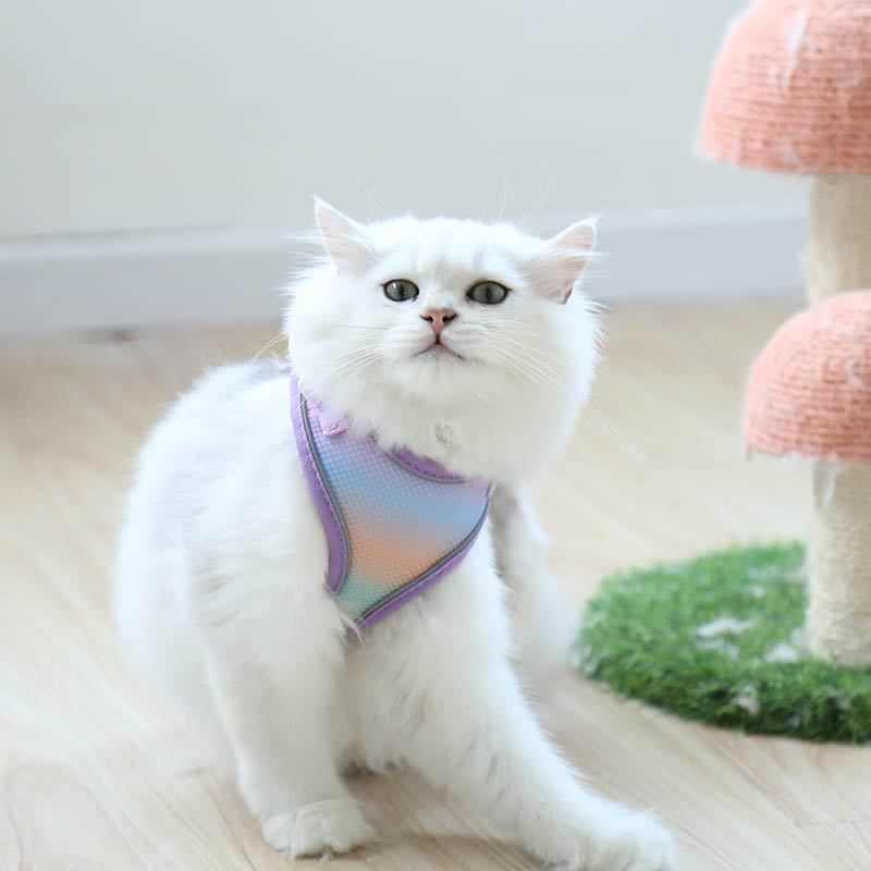 猫咪牵引绳防挣脱外出用遛猫绳猫咪胸背带 可调节猫绳子牵引幼猫
