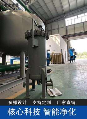 航空煤油燃油过滤器200LGF-240/1.0佳洁燃油过滤分离除杂可定制