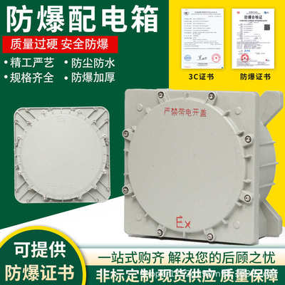 防爆IIC配电箱照明控制箱不锈钢配电箱检修箱仪表箱电控箱操作柱