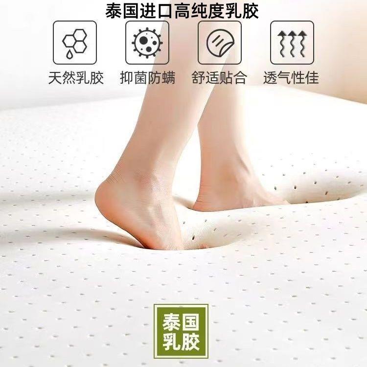 乳胶子床垫垫软家用卧室床褥垫租房榻榻米宿学生单舍GYY人80200
