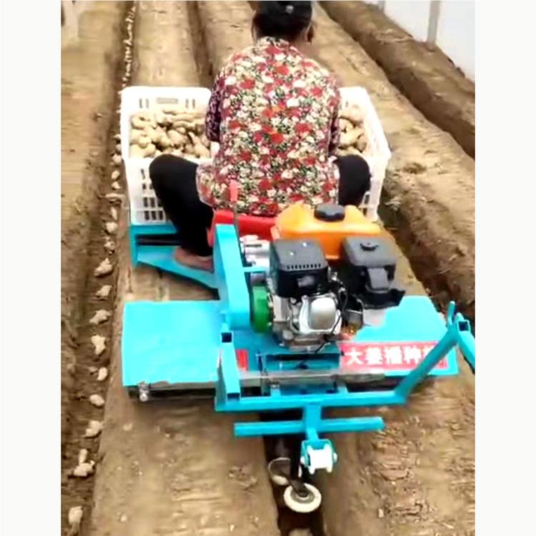 山东大yc-1姜机种高姜汽油机带农用家用生姜播种效机率出苗均匀现