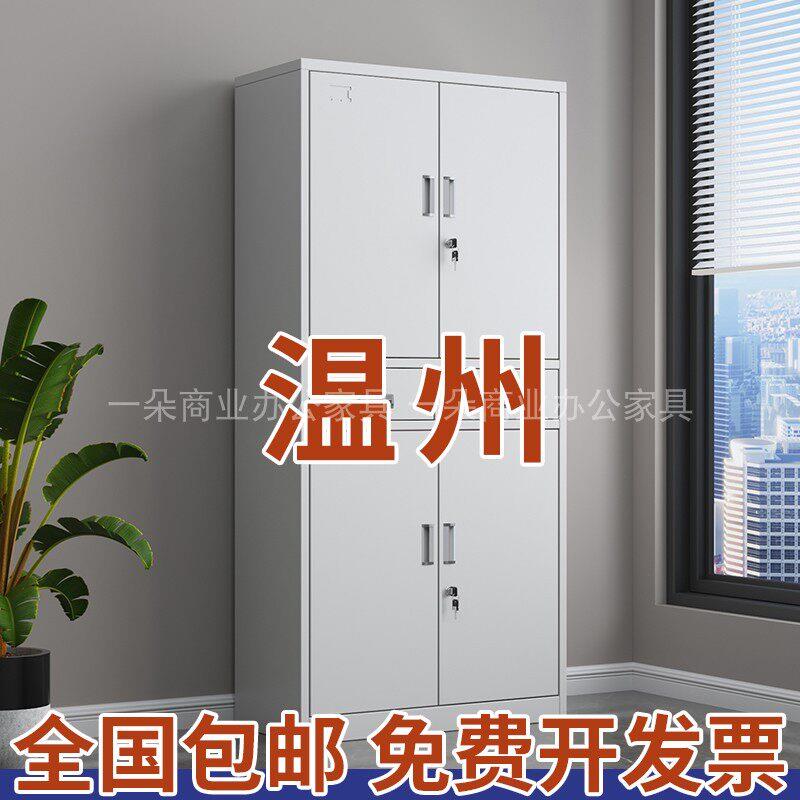 温州中二斗文件柜资料柜凭证档案柜办公室抽屉收纳柜带锁铁皮柜子