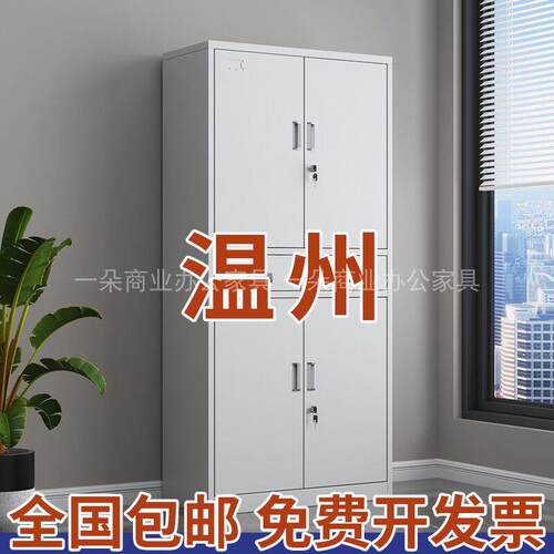 温州中二斗文件柜资料柜凭证档案柜办公室抽屉收纳柜带锁铁皮柜子