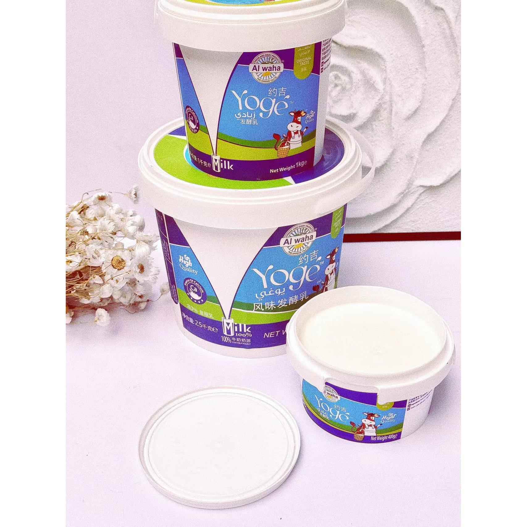 希腊风味酸奶greek yogurt半浓稠原味奶酸牛奶即食布丁早餐Yoge
