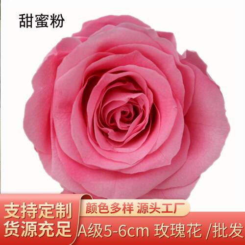 跨境A级5-6永生玫瑰花 圣诞情人节礼品配材干花 花头保鲜永生花