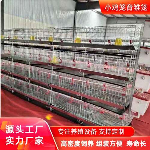 现货立式四层小鸡笼育雏鸡笼层叠式养鸡笼养鸡设备养殖场鸡舍用