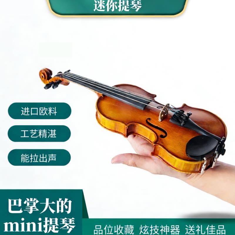 弦乐之家迷你提琴欧料实木小提琴初学者迷你乐器儿童节礼物礼盒