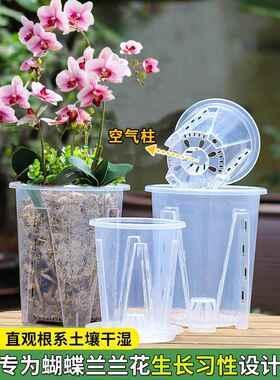 蝴蝶兰兰花控根盆塑料养根盆海芋花烛蔓绿绒镂空透明花盆2024新款