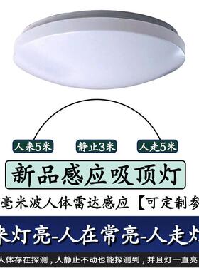 人在灯不灭led吸顶灯替换灯芯光源模组人体存在感应24G毫米波雷达