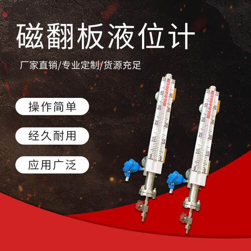 电厂化工厂水S厂铝厂钢厂锅炉管道磁翻板液泥位计WT-UHZ